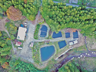 floor3.jpg(124005 byte)