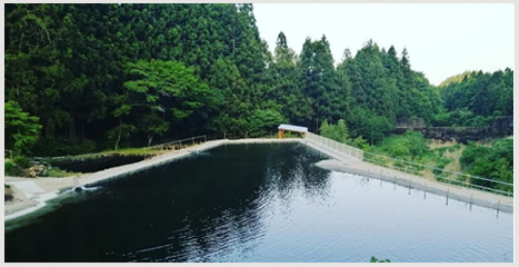 haruna2025.png(112465 byte)