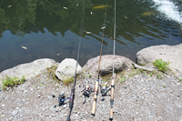 rua-.jpg(40222 byte)